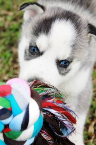 Neburk1979's profile picture. All systems go!!!