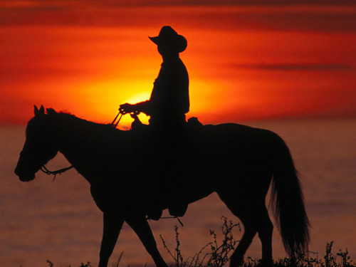 wesleylol's profile picture. 