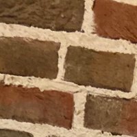 bob (@bob217652) 's Twitter Profile
