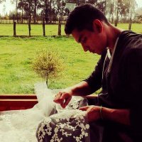 Alvaroramirezcastro (@alvaroramirezc) 's Twitter Profile