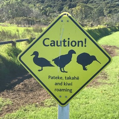 JDubsthe3rd's profile picture. Senior Client Partner @talogy_global Supporting organisations on #EmotionalIntelligence and #InclusiveLeadership Views my own