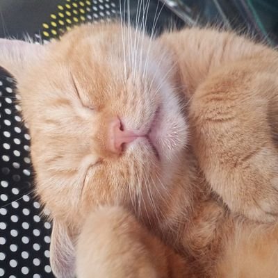 erugaaw's profile picture. haduhhh, pusing sm hidup