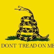 Native Texan. Born + raised. Think for yourself. Without election integrity, democracy is an illusion. Married to @HouseoftheMuse_ Pro 1A & 2A