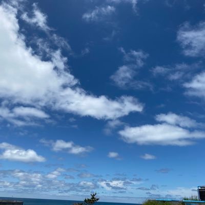 k5gvAG4dSwW9ZJq's profile picture. 