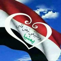 نصراللّـه باعلوي (@al_alaw_2022) 's Twitter Profile