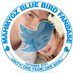 Bluebird_Ofc