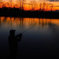 フィッシング道楽 道楽 ルアー 2025年最新】道楽ルアーの人気アイテム - メルカリ