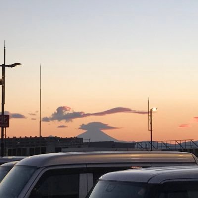 vnravduiatm0854's profile picture. 