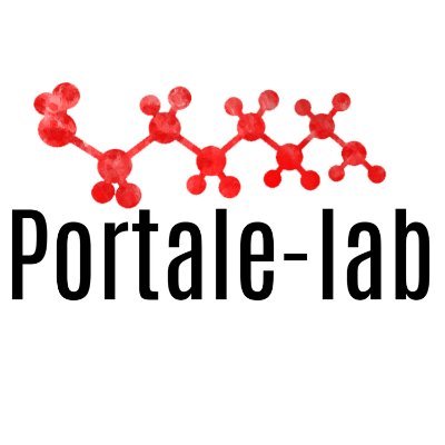 Portale Lab Profile