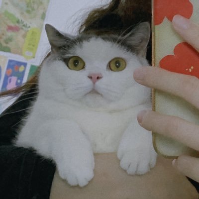 Layla Lanさんのプロフィール画像