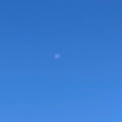 jose_lusil's profile picture. 