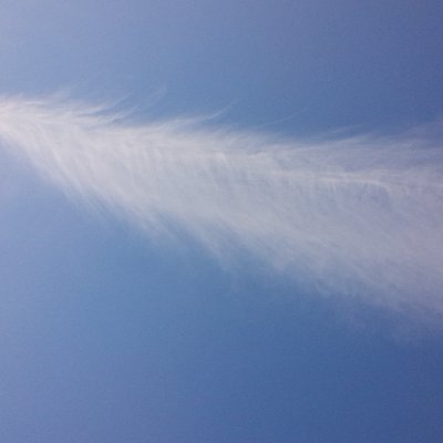 バレーボール*