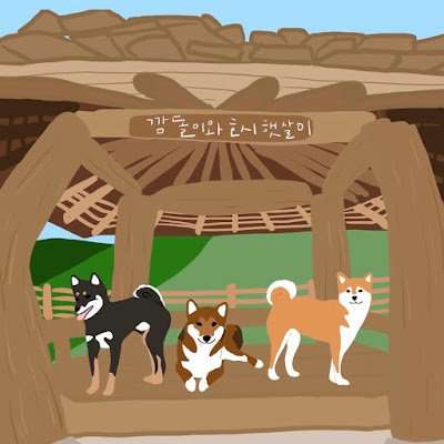 kimsunghoon1234's profile picture. 몰루