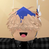 I am a Roblox UGC Creator😀
I am a Roblox Game Creator😁