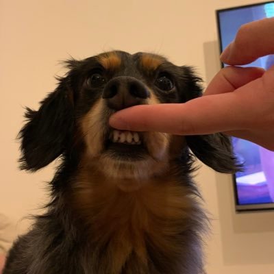 FOXさんのプロフィール画像