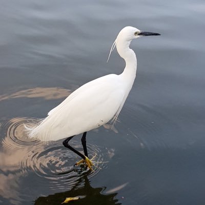 maggies46051815's profile picture. 