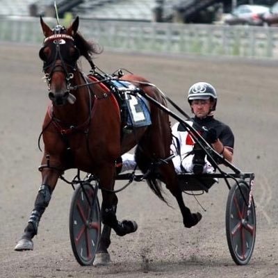 I drive Harness Horses.