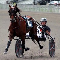 Marcus Miller (@mmillerdriver) 's Twitter Profile Photo