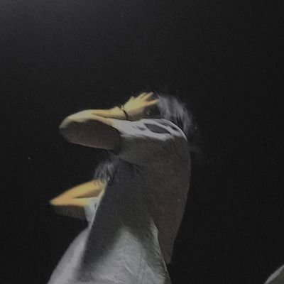 Wjusv1's profile picture. 