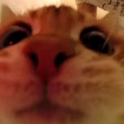 djdumbbitch's profile picture. he/him 🖤 24 🖤 anime luvr 🖤 i just play my silly lil games 🖤 kinda nsfw so 18+ pls 🖤