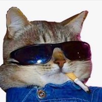 dave (@_davedave) 's Twitter Profile