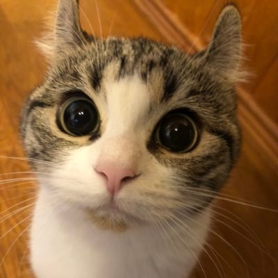 j2oO0Iz1cdHJUNS's profile picture. 