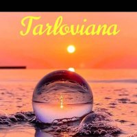 Tarloviana (@tarloviana) 's Twitter Profile Photo Tarloviana (@tarloviana) 's Twitter Profile Photo