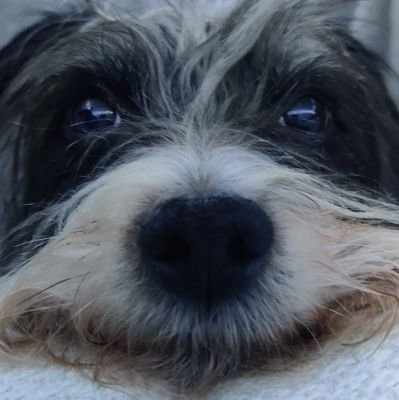 BJsComps's profile picture. Genuinely not a bot. I just like the chance of winning a competition. Good luck to everyone.