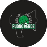 Pugno Verde(@PugnoVerde1963) 's Twitter Profile Photo