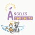 Rescatandoangelesconcolita (@rescatandoange2) Twitter profile photo Rescatandoangelesconcolita (@rescatandoange2) Twitter profile photo