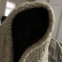 Maxlake (@andrewmaxlake) 's Twitter Profile