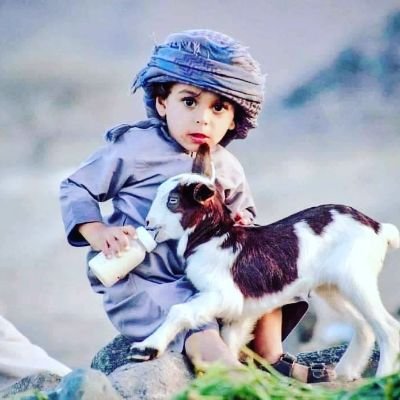 scorpion_443's profile picture. Anti-political
Against the f*****g system