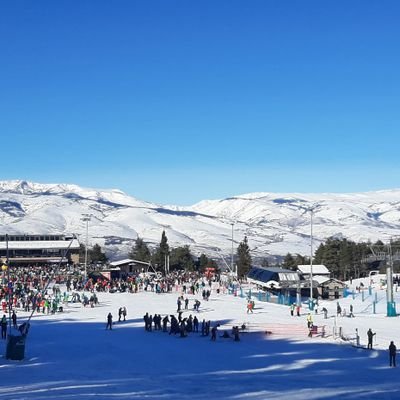 llpuig69's profile picture. Viu intensament la vida