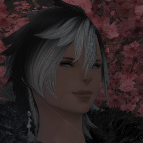 FF14 Player, Highlander-Fan and Viera-Enjoyer :D