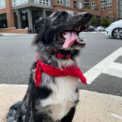 colorblindboi21's profile picture. #UNCW18 910➡️919