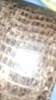 Yayi912's profile picture. 😃