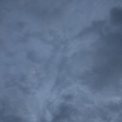 stevaniwidha's profile picture. blue eyes fool me twice k