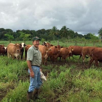 Hombre serio, casado, anti progre, independiente, consultor, hombre de campo, político, anti  ideología de género y simpatizante Martinellista.