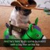 ugly mcgee (@itsthedogsfault) Twitter profile photo ugly mcgee (@itsthedogsfault) Twitter profile photo