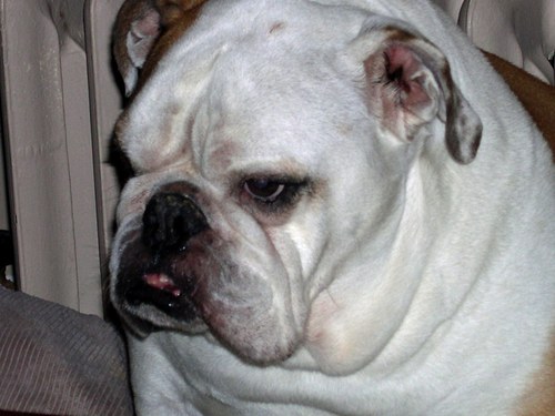 WericLInd's profile picture. 