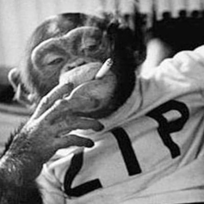 vesperalecho's profile picture. xxx