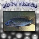 Roy Marler - @RoysTilapia - Twitter