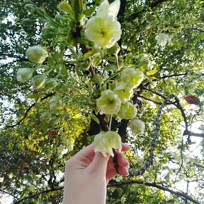 jennyhu20211011's profile picture. 