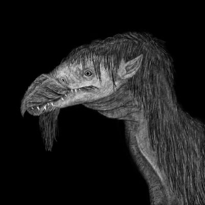 0201Cjab's profile picture. Geology, sci-fi, fantasy, and paleontology are some of my interests. I just retweet stuff for the most part. it’s free real estate. He/him/that thing...