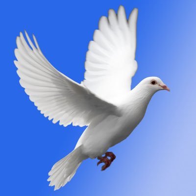 carl3030's profile picture. La liberté de pensée est le droit de déterminer lui-même le contenu de ses représentations intellectuelles, morales, politiques et religieuses.