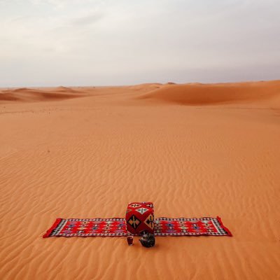 __Najd____'s profile picture. 