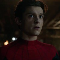 Peter Spider #1 — (SeenNWH) (@ofgreatthwips) 's Twitter Profile