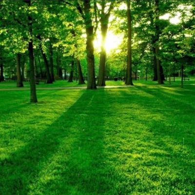 لا مشاعر من غير شعر ولا شعر من غير مشاعر New account😇