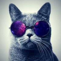 Mass0ma (@mass0ma) 's Twitter Profile