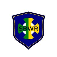 Seleção Do Brasil (@selecaobrasilwr) 's Twitter Profile